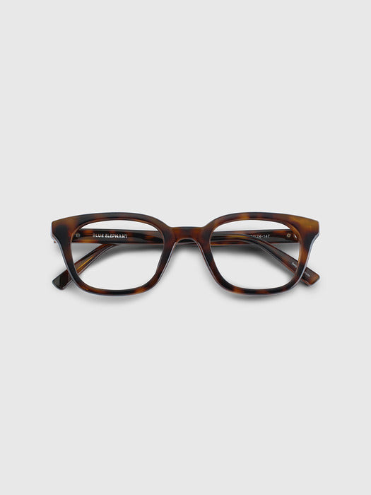 SIGMA leopard