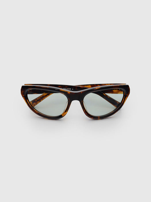 TESS leopard
