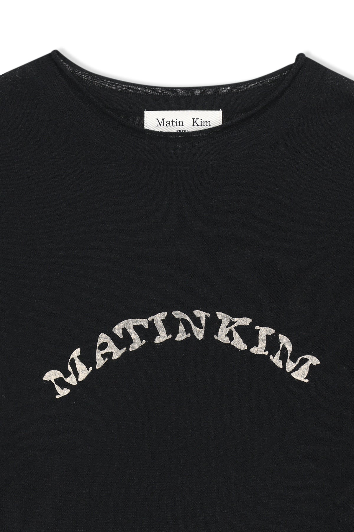 Matinkim Matin Sleeve Graphic Sheer Knit Pullover IN Black