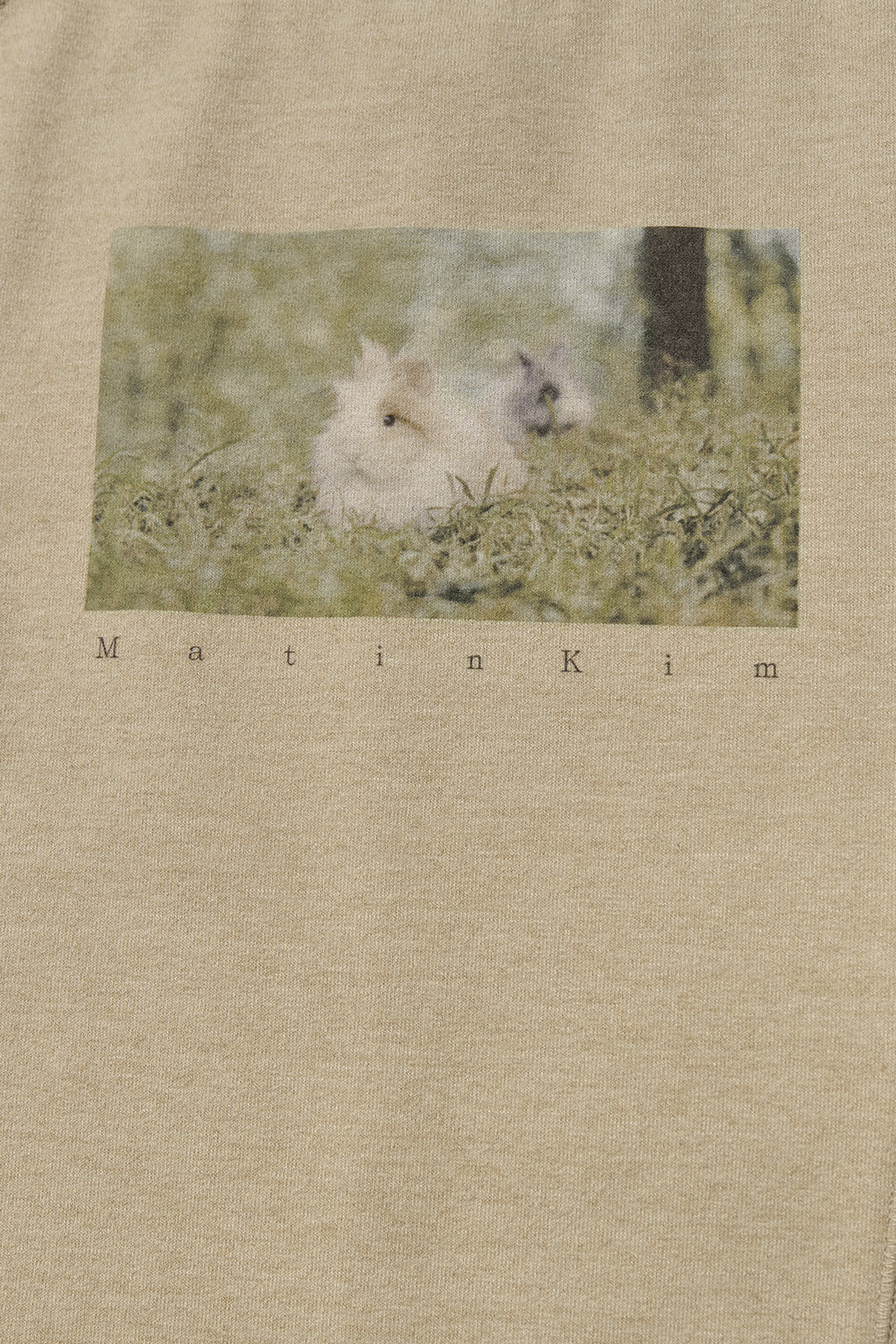 [matinkim] RABBIT PRINTING RAGLAN SLIM TOP IN BEIGE