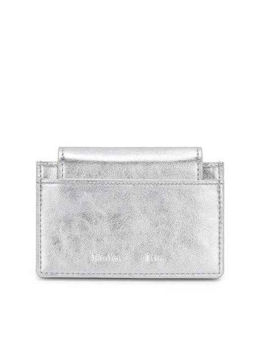 ACCORDION WALLET IN SILVER