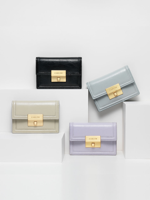 Carlyn Pave Wallet