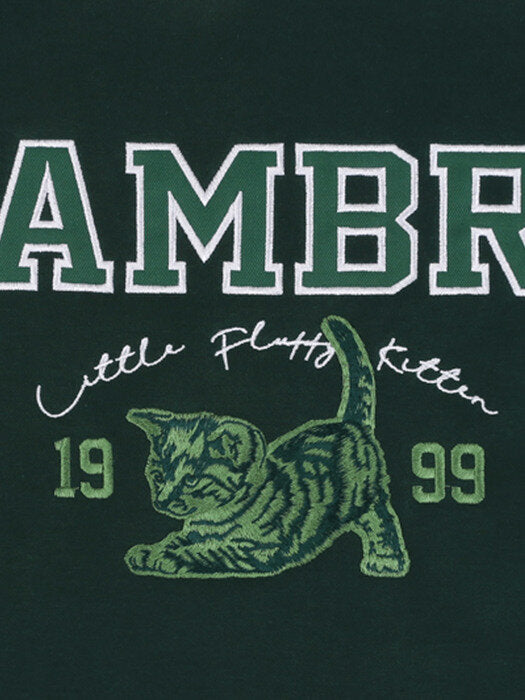 [ambler] Little cat Over fit Hoodie AHP914 (green)
