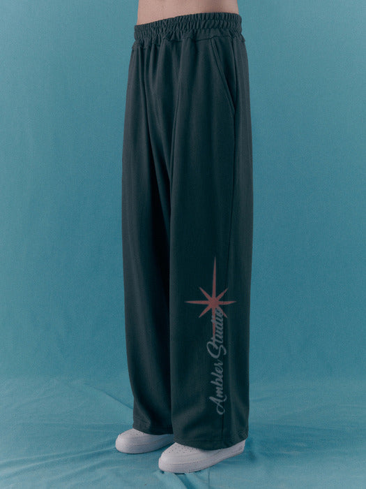 [ambler] Twinkle Straight 2-Way pants AP802 (Dark-Gray)