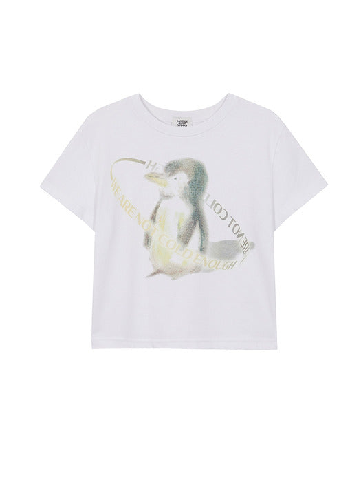 Clothing in white - Premium quality product image