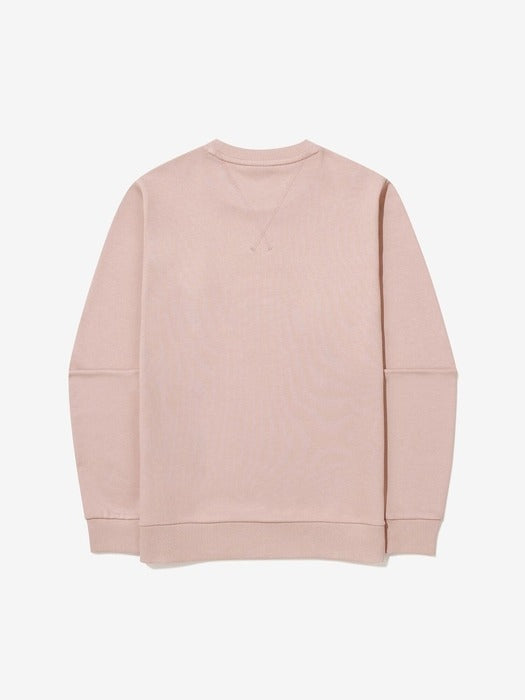 Basic Small-Logo Crewneck Sweatshirt_FS2POG3101U_DTP