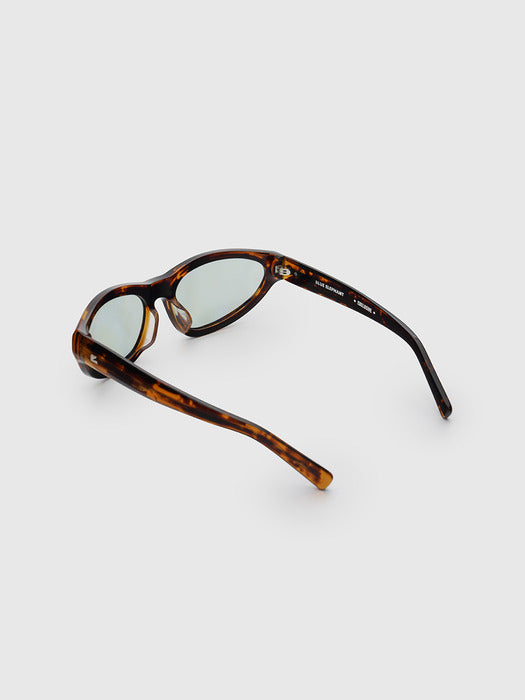 TESS leopard