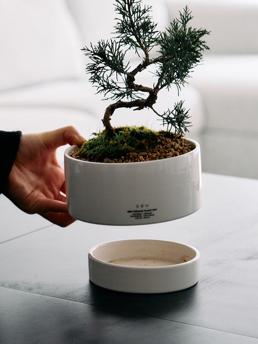 Wconcept_Gbh_Home Ceramic Plant Pot White (Saucer included)