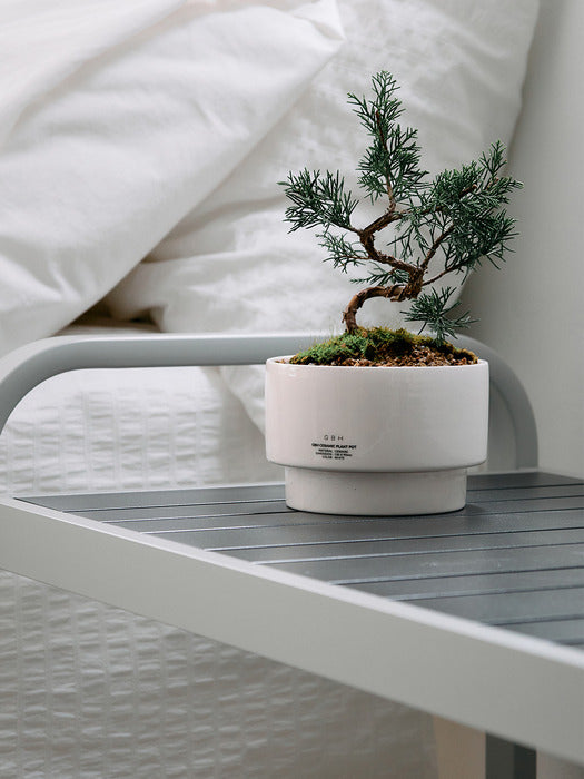 Wconcept_Gbh_Home Ceramic Plant Pot White (Saucer included)