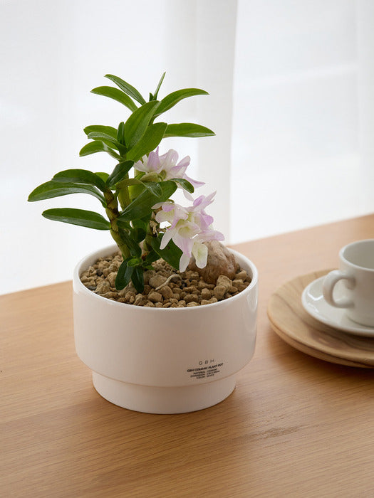Wconcept_Gbh_Home Ceramic Plant Pot White (Saucer included)