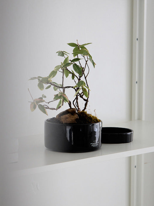 Wconcept_Gbh_Home Ceramic Plant Pot Black (Saucer included)