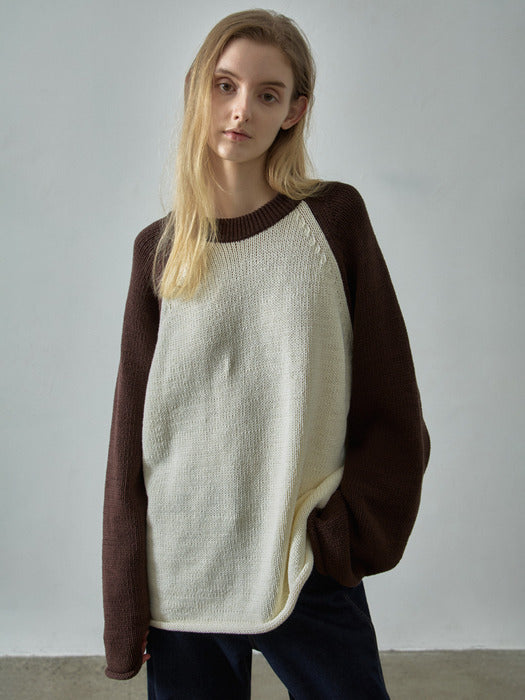 Facade Pattern Classic Raglan Knitwear brown