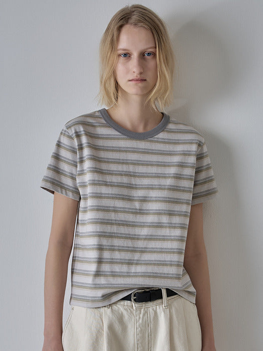 Facade Pattern Stripe Crop T-shirt