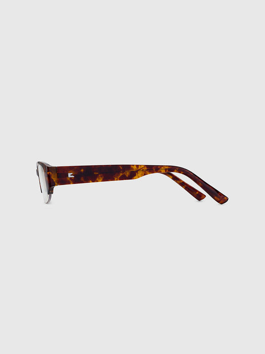 RISA leopard