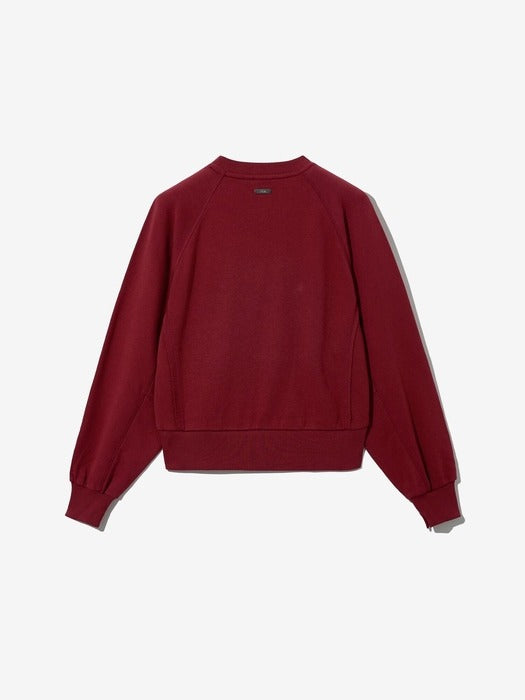 Semi-Cropped Small Logo Sweatshirt_FS253PO01F003_639
