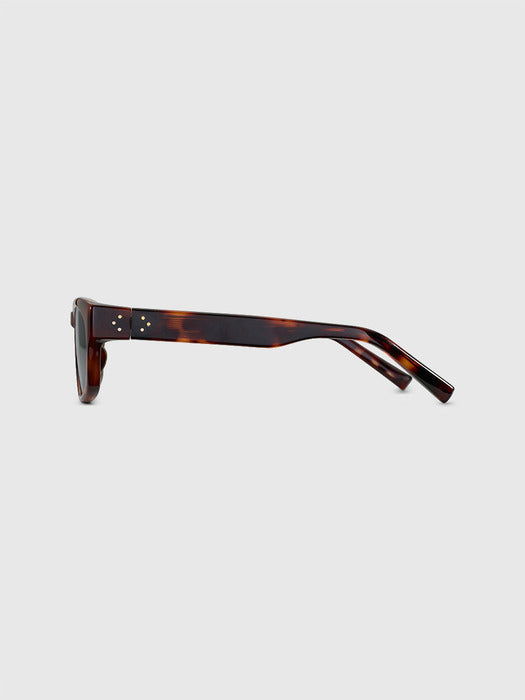 NINA leopard