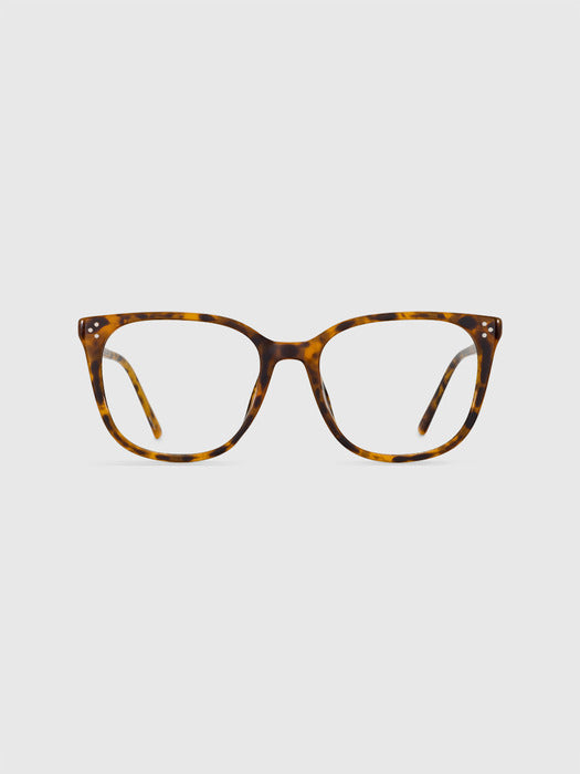 Blue Elephant Kalo leopard