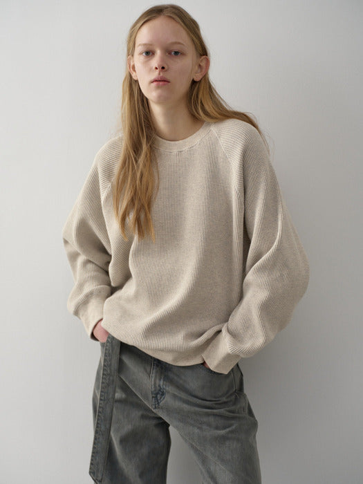 Facade Pattern Textured Raglan Sweat Shirt