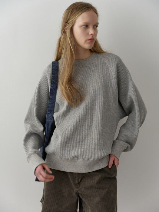 Facade Pattern Textured Raglan Sweat Shirt
