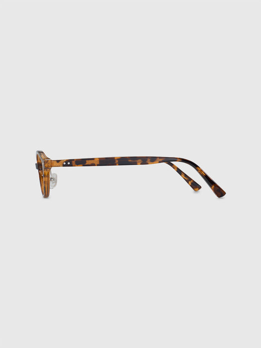 Blue Elephant Razzi leopard