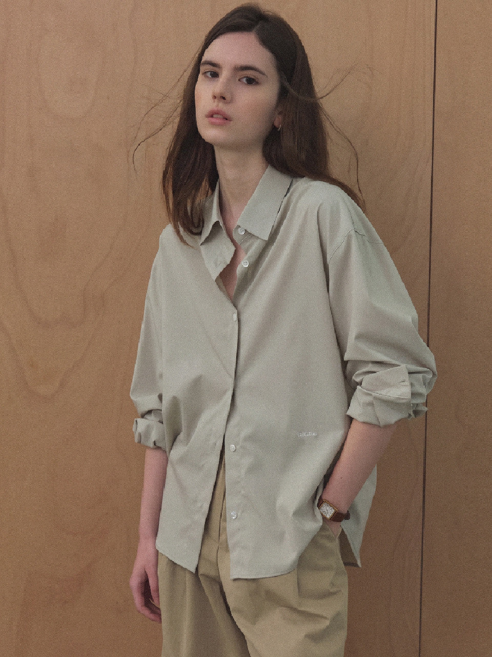 Tillidie Wrinkle-Free Regular Fit Shirt Mint