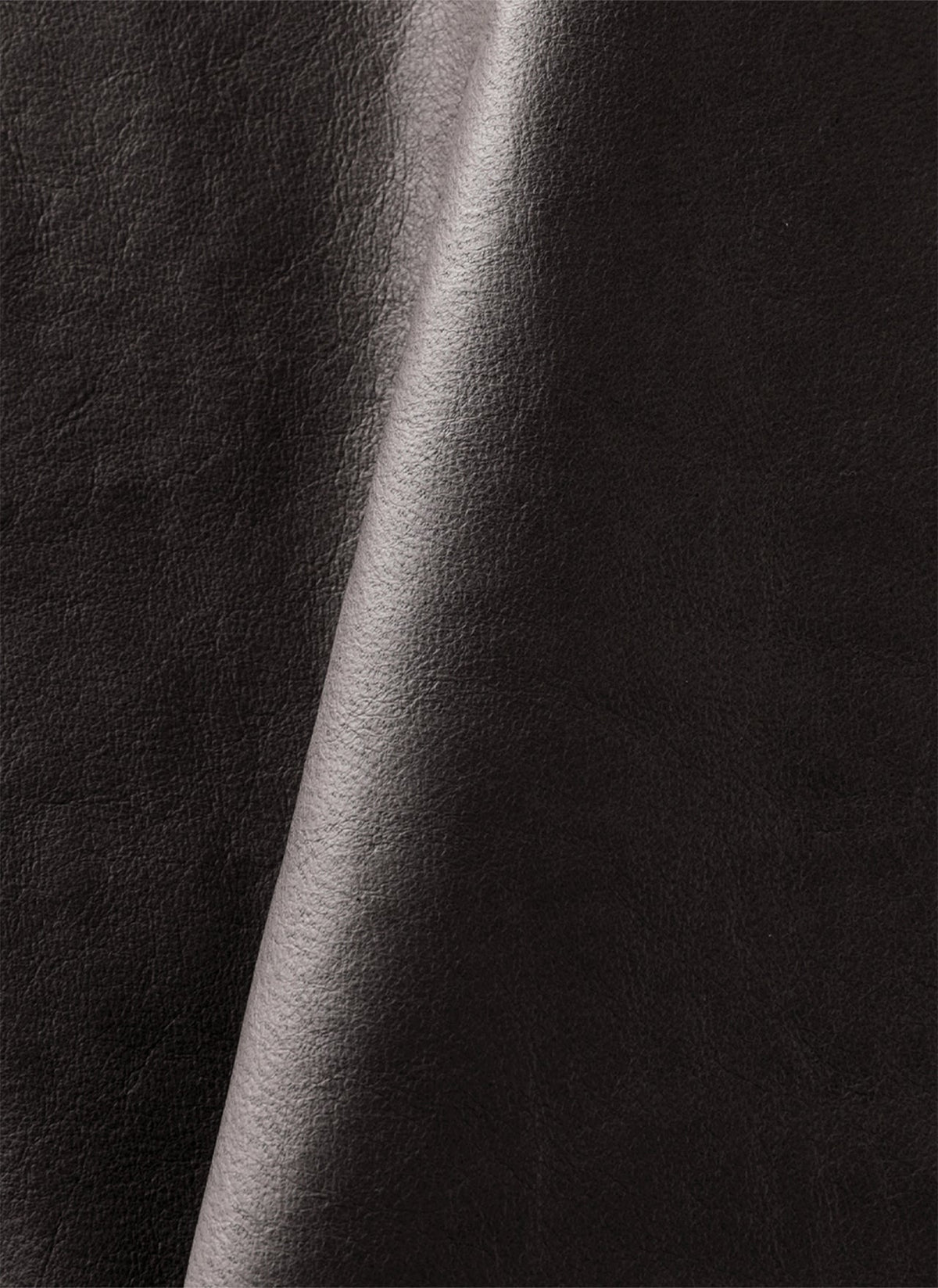Post_Archive_Faction Leather Jacket Light