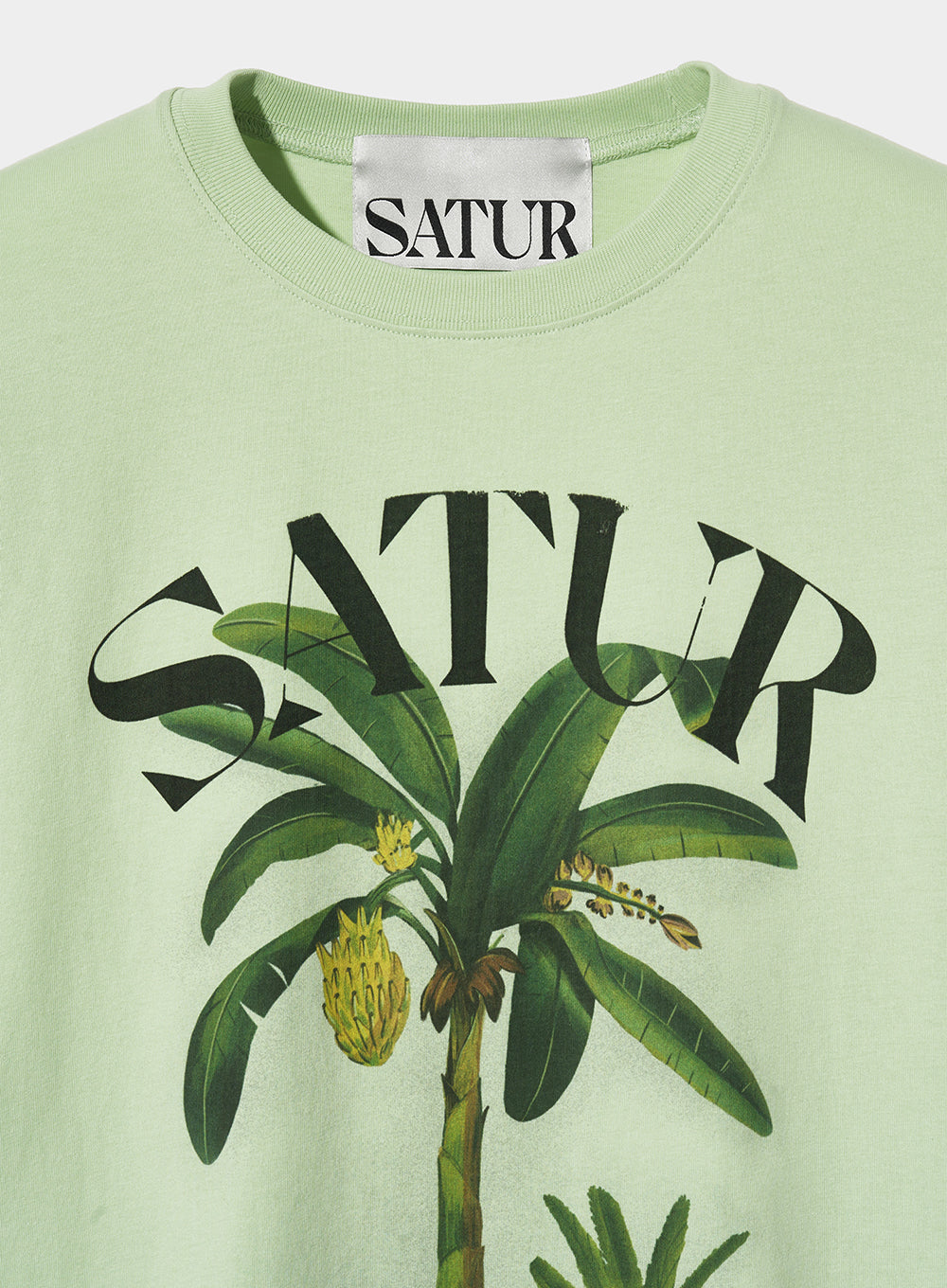 [satur] (W) Banana Tree Graphic T-Shirt - Celadon Mint