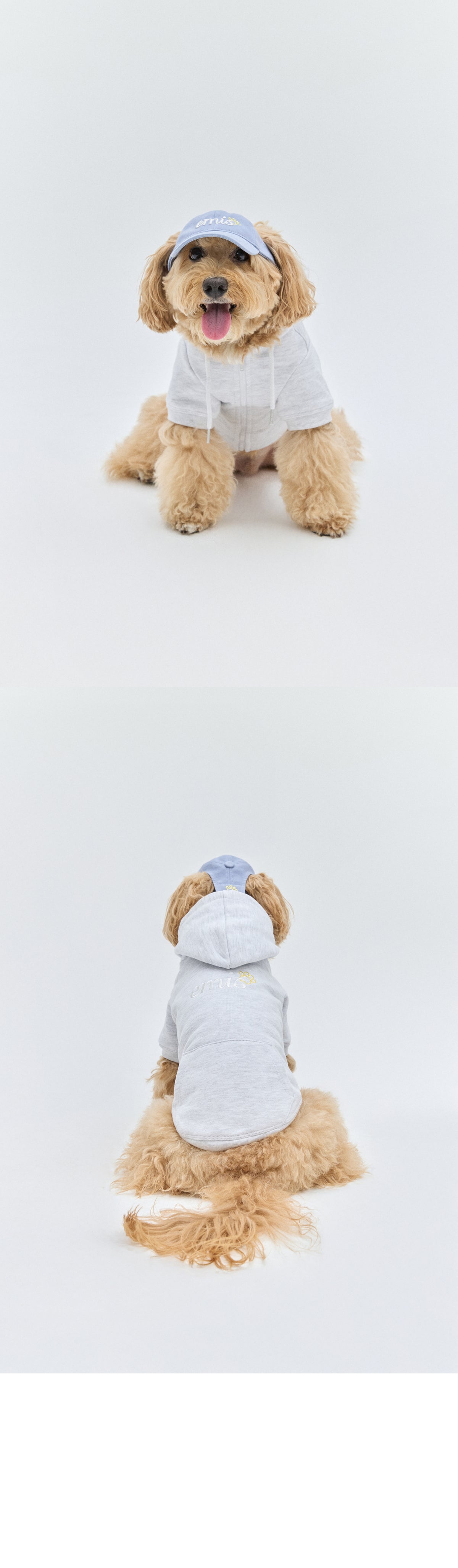 EMIS (Pet) Lettering Logo Ball Cap-Blue