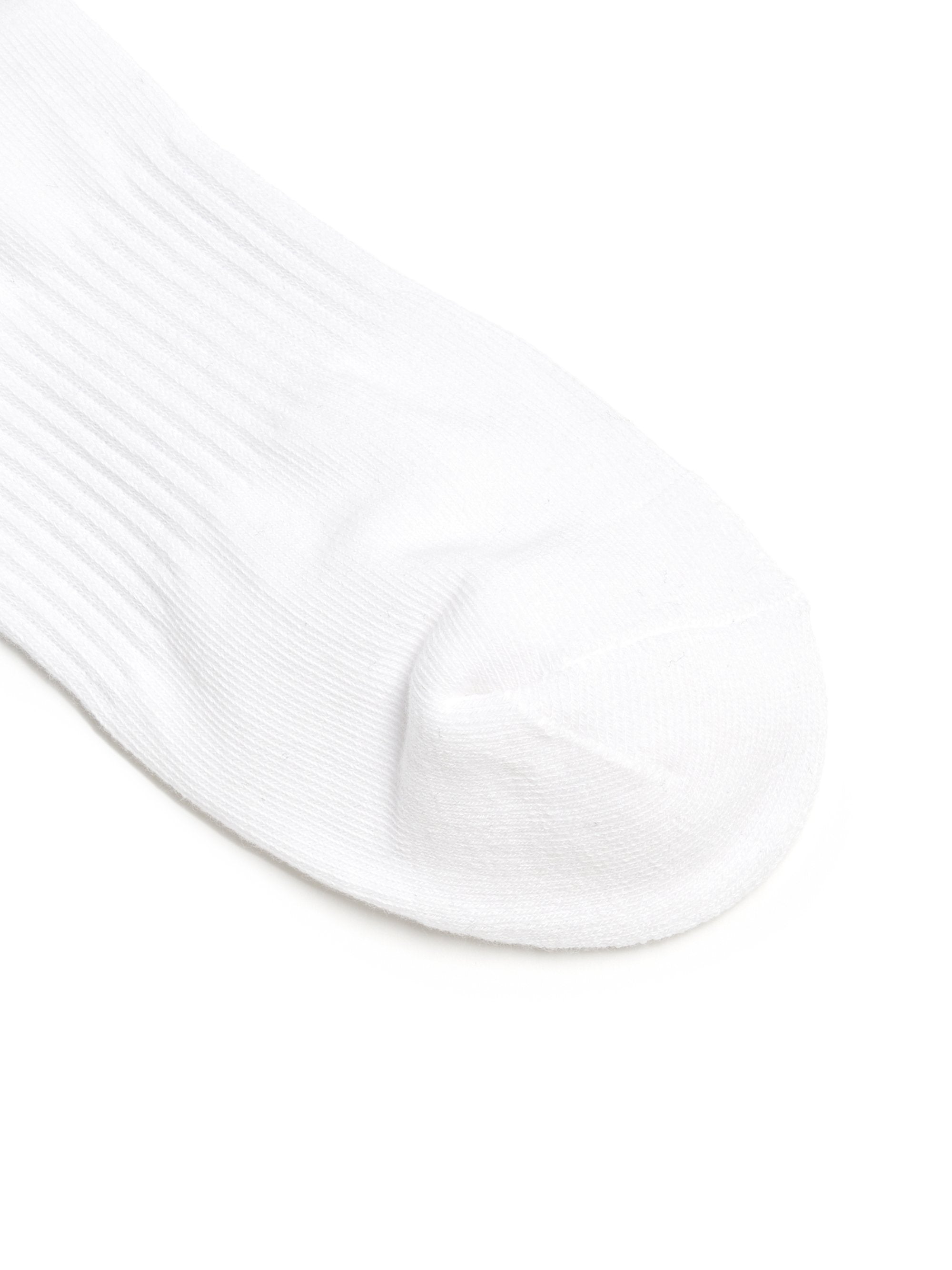 [mlb korea] Sportive Crew Socks 2pairs Set