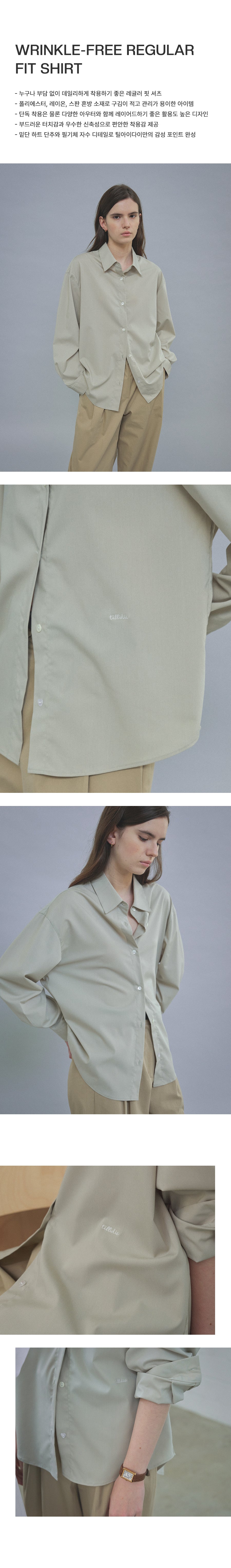 Tillidie Wrinkle-Free Regular Fit Shirt Mint