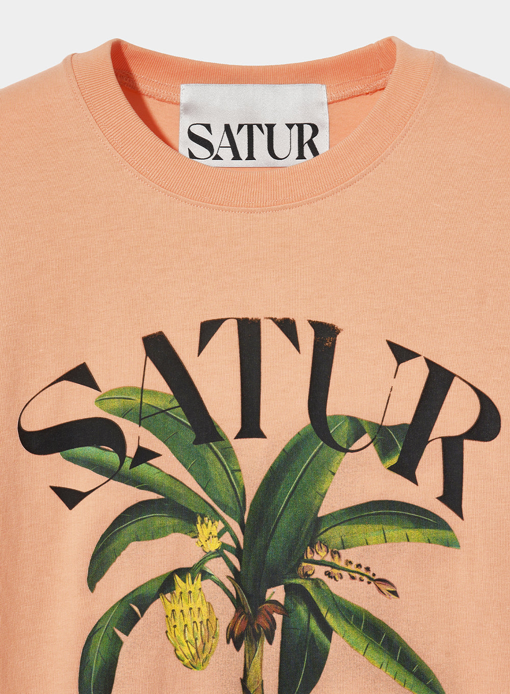 Clothing - Premium quality product image