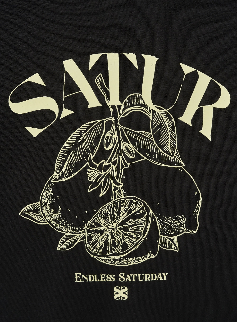 [satur] (W) Citron Crop Slim Fit T-Shirt - Black