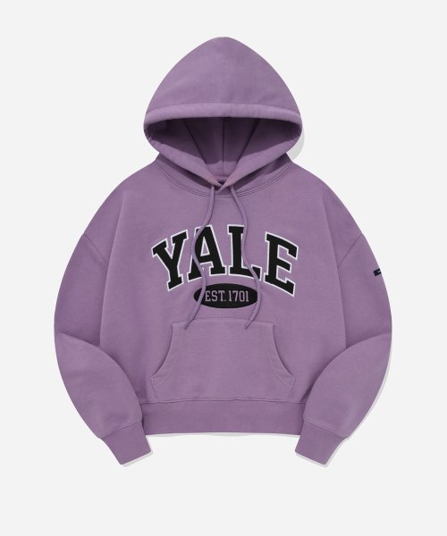 (24SS) 2 TONE ARCH CROP HOODIE VTG PURPLE